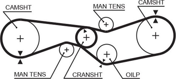 Ремень ГРМ Gates PowerGrip™. Артикул 5009