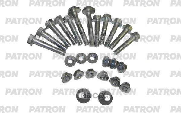 Комплект болтов подвески задней подвески Ford Focus I II III (Patron). Артикул PBLT076