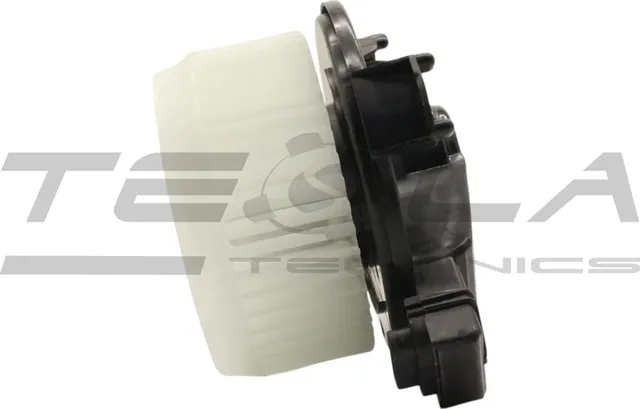 Мотор отопителя салона (Tesla Technics). Артикул TT21171