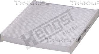 Салонный фильтр Hengst для BMW X6 II (F16) 2014-2019. Артикул E3951LI