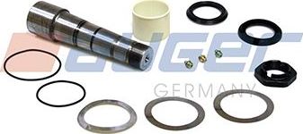 Ремкомплект шкворня поворотного кулака  Auger. Артикул 55500