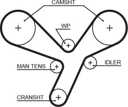 Ремень ГРМ Gates PowerGrip® для Hyundai Equus I 1999-2003. Артикул 5643XS
