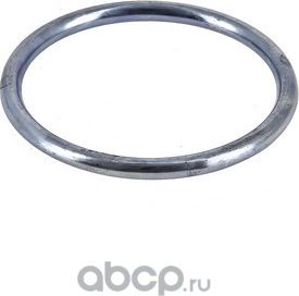 256165 КОЛЬЦО УПЛОТНИТЕЛЬНОЕ 45,4X53,7X4,7 (Fortluft). Артикул 256165