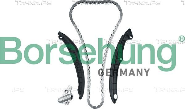 Цепь ГРМ Borsehung для Volkswagen Polo IV 2002-2009. Артикул B17991