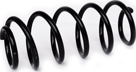 Пружина подвески ASAM. Артикул 73746