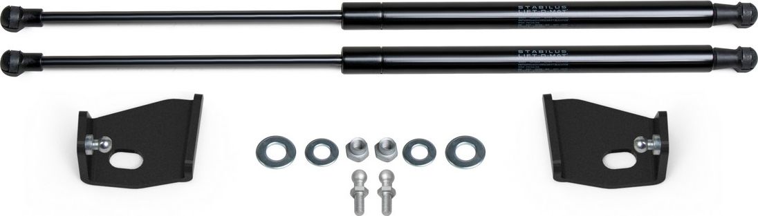 Амортизаторы (упоры) капота Rival для Evolute i-Pro 2022-2026. Артикул A.ST.0601.1