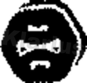 Кронштейн глушителя Klarius (резина). Артикул 420179