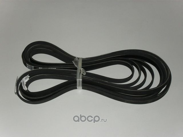 Ремень поликлиновый (5PK1747) (Quartz). Артикул QZ5PK174714