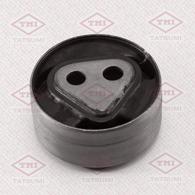 Опора дифференциала задняя подвеска TOYOTA Harrier/Highlander 1997- LEXUS RX 200 (Tatsumi). Артикул TEG1025