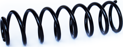 Пружина подвески ASAM. Артикул 73779