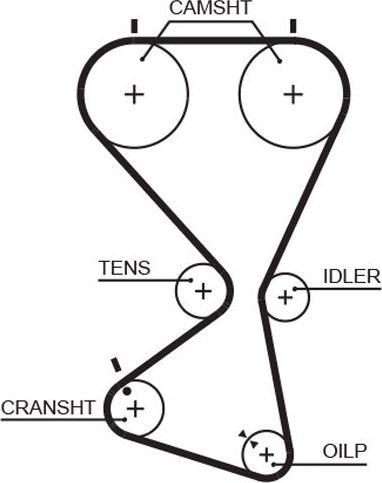 Ремень ГРМ Gates PowerGrip® для Hyundai Santa Fe I 2001-2005. Артикул 5556XS