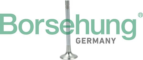 Выпускной клапан Borsehung. Артикул B19004