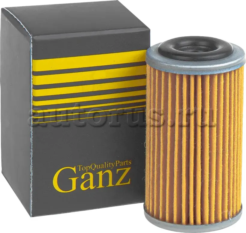 Фильтр АКПП (Ganz). Артикул GIH02112