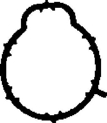 Прокладка впускного коллектора BGA. Артикул MG8541