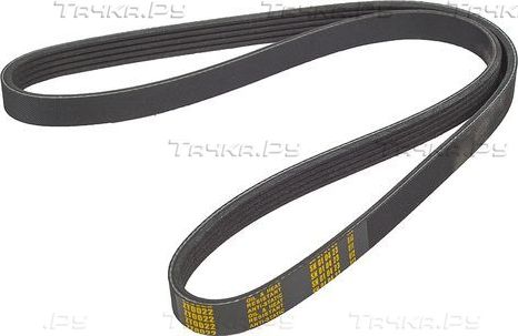 Приводной ремень поликлиновой Zentparts для Renault Modus I 2004-2012. Артикул Z23160