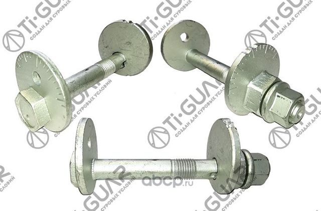 Комплект эксцентрика (TI-Guar). Артикул TG4819060011