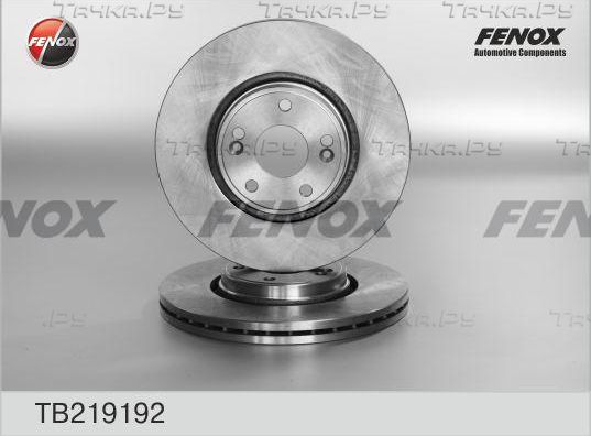 Тормозной диск Fenox передний для Renault Laguna II 2001-2007. Артикул TB219192