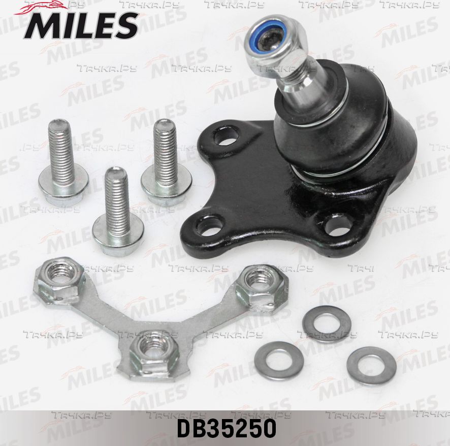Шаровая опора Miles передняя левая нижняя внешняя для SEAT Cordoba II 2002-2009. Артикул DB35250