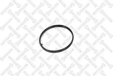 Прокладка выпускного коллектора Stellox для Mercedes-Benz Sprinter 903 2000-2006. Артикул 11-26147-SX