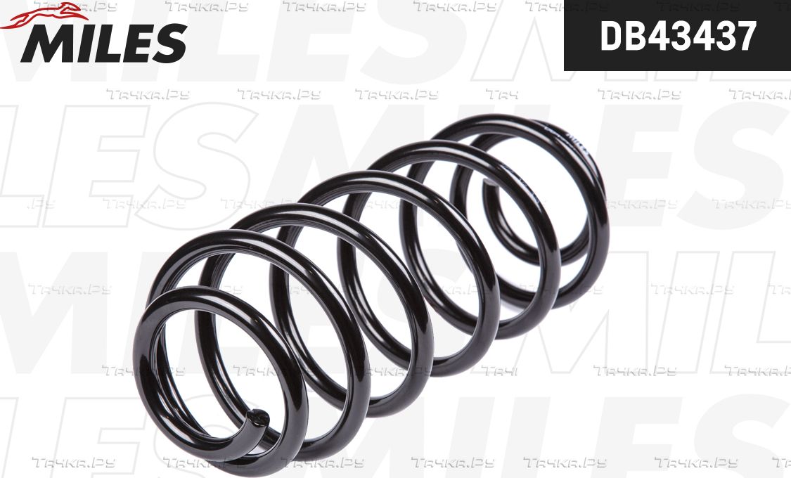 Пружина подвески Miles задняя для Toyota Echo 1999-2005. Артикул DB43437