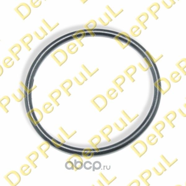 Кольцо уплотнительное дроссельной заслонки (Deppul). Артикул DEBZ0299