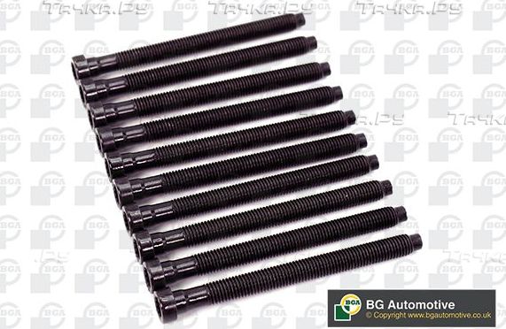 Комплект болтов ГБЦ BGA для Skoda Superb II 2009-2015. Артикул BK2378