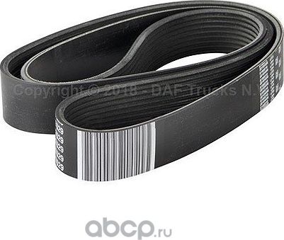 Приводной ремень поликлиновой DAF. Артикул 1917629