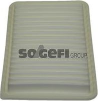 Воздушный фильтр Fram. Артикул CA9894