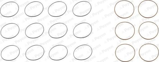 HL5003_к-т уплотнительных колец гильзы !на 6цил./ Iveco дв. F3AE0681 B/D/E CURSO Payen. Артикул HL5003