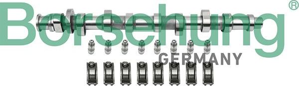 распредвал ремкомплект Borsehung. Артикул B18859