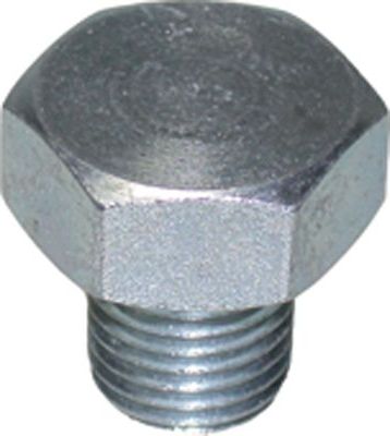 Сливная пробка масляного поддона двигателя Birth. Артикул 8733