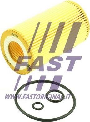Масляный фильтр Fast. Артикул FT38011