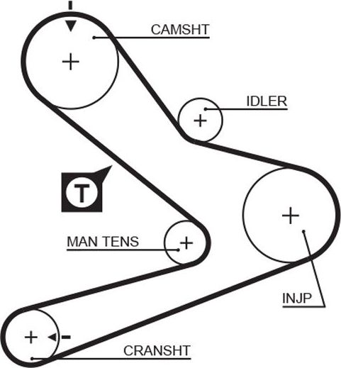 Ремень ГРМ Gates (HNBR (Hydrierter Acryl-Nitril-Butadien-Kautschuk)). Артикул 5495XS