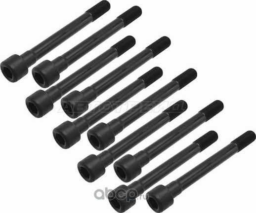 Болт ГБЦ (комплект) (SAT). Артикул ST-117-0083