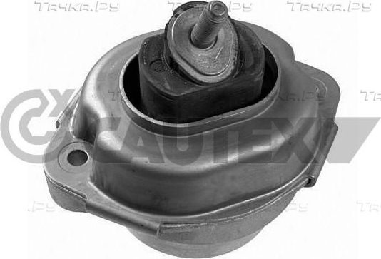 Подушка (опора) двигателя Cautex правая/левая для BMW X5 I (E53) 2001-2006. Артикул 201643