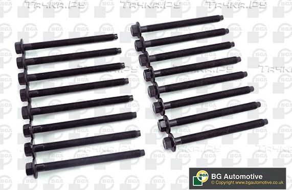Комплект болтов ГБЦ BGA для Citroen C5 II 2008-2017. Артикул BK2392