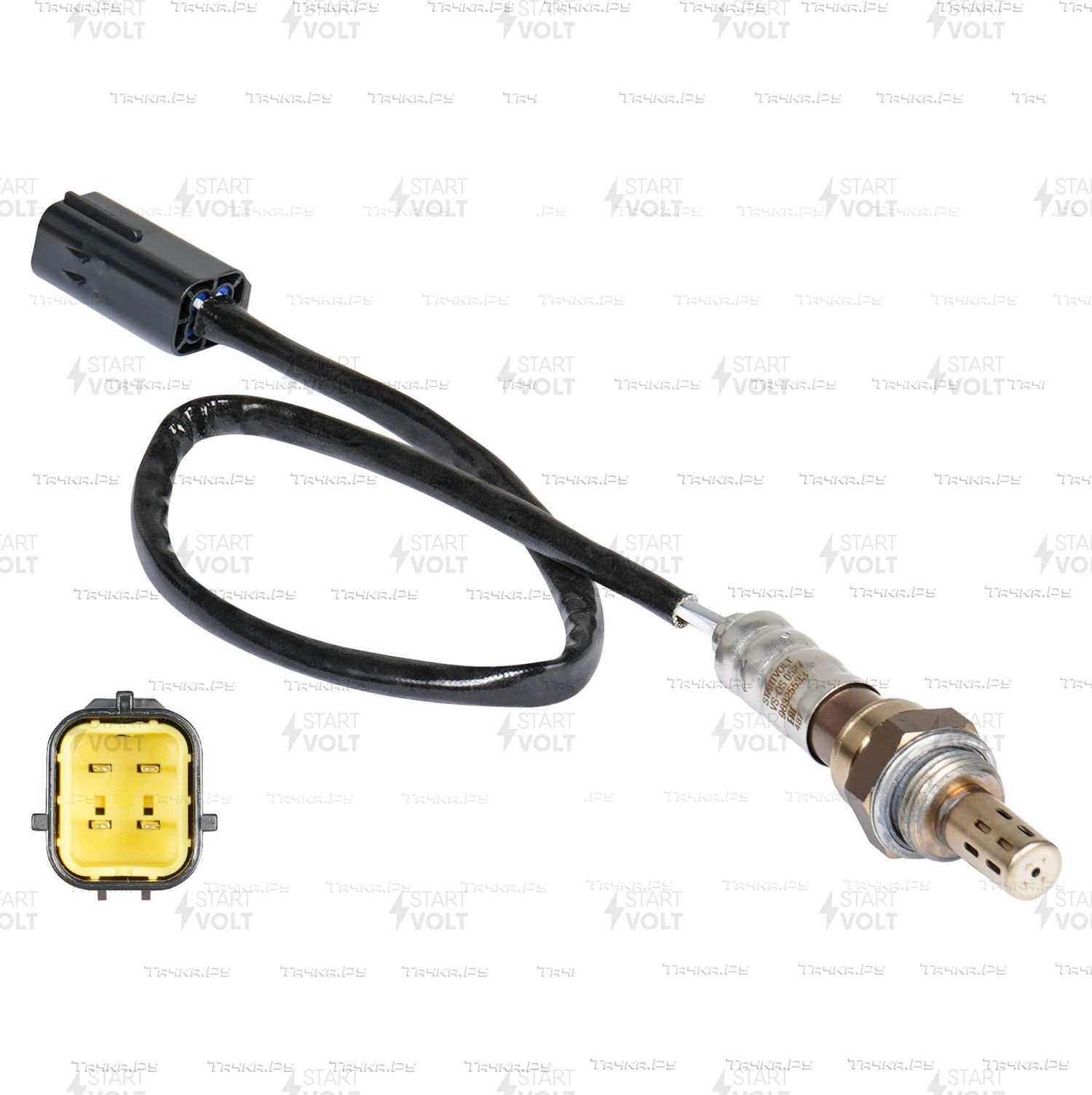 Кискада сперматозоидтар көп