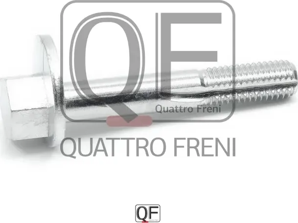 Болт эксцентрик (Quattro Freni). Артикул qf54d00013