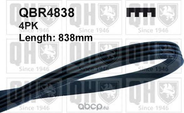 QBR 38 Поликлиновой ремень *QUINTON HAZELL (QH). Артикул QBR4838