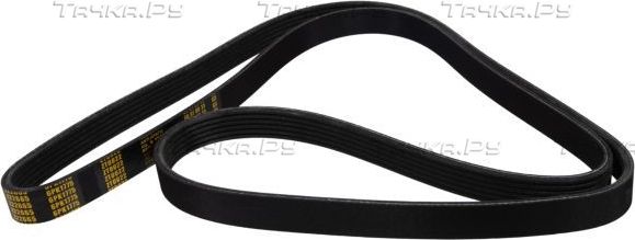 Приводной ремень поликлиновой Zentparts для Fiat Brava 1998-2001. Артикул Z22665