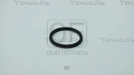 Кольцо уплотнительное системы охлаждения (Quattro Freni). Артикул qf65a00019