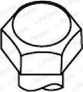 Комплект болтов ГБЦ Payen для Renault Master I 1980-1998. Артикул HBS116