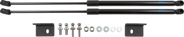 Амортизаторы (упоры) капота Arbori для Nissan Qashqai J11 2019-2026. Артикул ARBORI.HD.030102