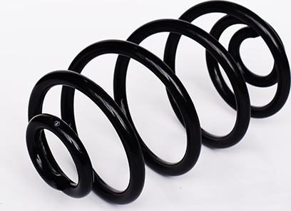 Пружина подвески ASAM. Артикул 73776