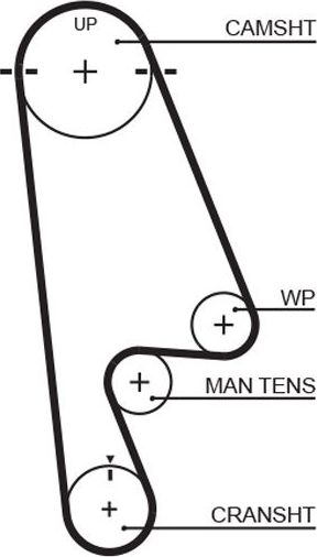 Ремень ГРМ Gates (HNBR (Hydrierter Acryl-Nitril-Butadien-Kautschuk)). Артикул 5480XS
