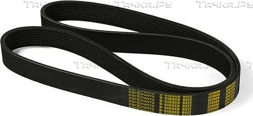 Приводной ремень поликлиновой Zentparts для MAN TGX 2006-2026. Артикул Z23080