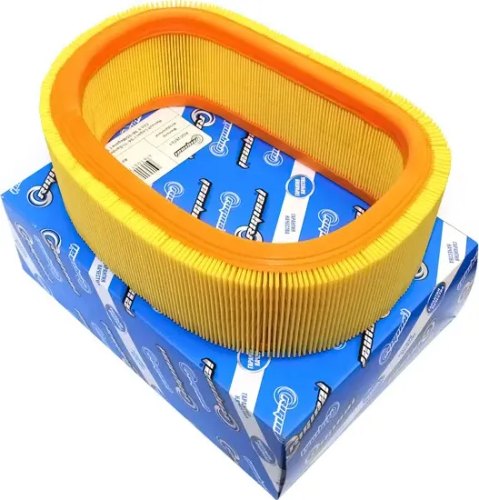 Фильтр воздушный для а/м Renault Logan I 04-11/Sandero 08-11/Clio II 98-05/Lada (Riginal). Артикул RGC26721