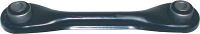 Поперечный рычаг задней подвески Birth. Артикул BR1680