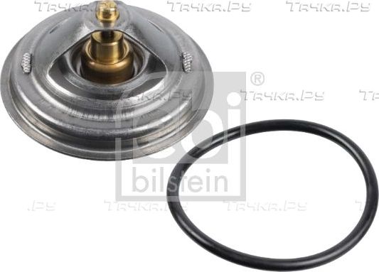 Термостат Febi Bilstein для Mercedes-Benz Atego 2 2004-2014. Артикул 171594