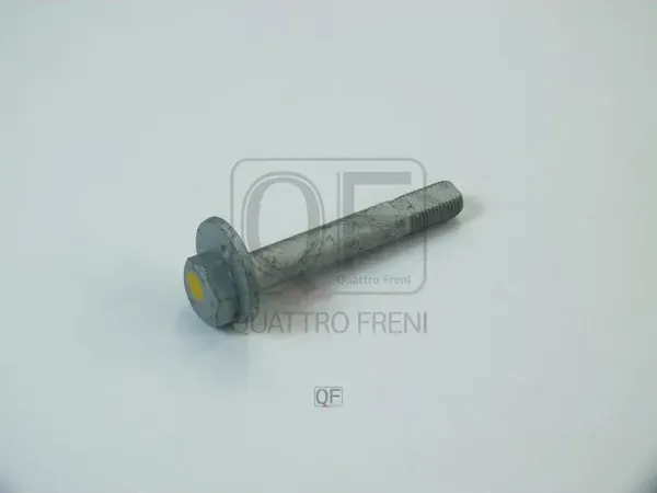 Болт эксцентрик (Quattro Freni). Артикул qf84d00024